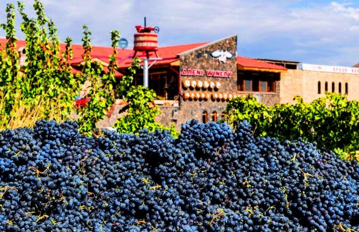 Успейте посетить фестиваль вина  6 октября