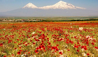 Климат Армении